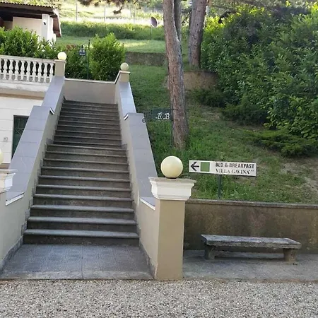 Gavina Gavi